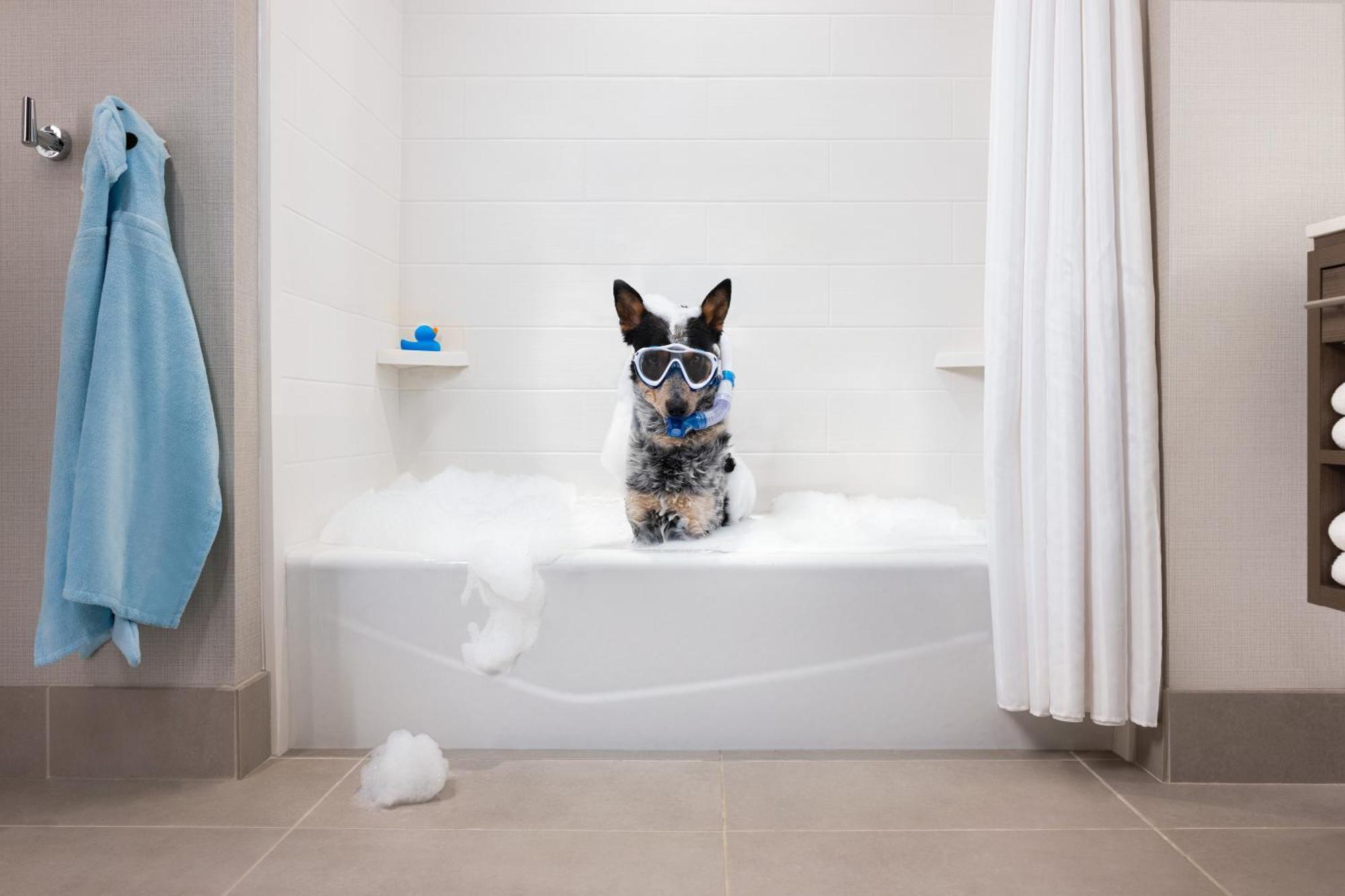 Home2 Suites By Hilton ウィンターガーデン エクステリア 写真
